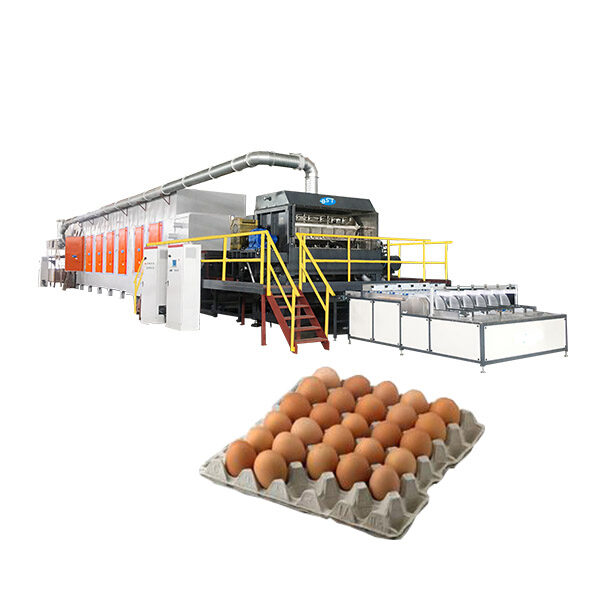 Dây Chuyền Sản Xuất Khay Trứng Tái Chế Tự Động